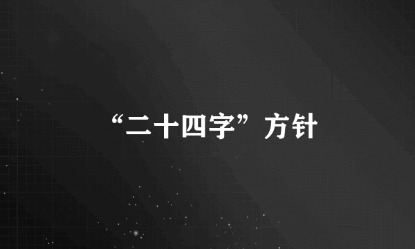 “二十四字”方针