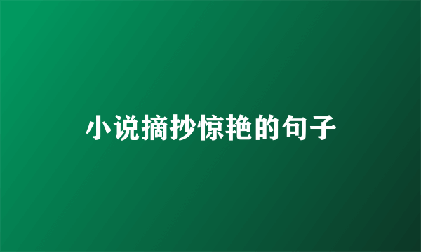 小说摘抄惊艳的句子