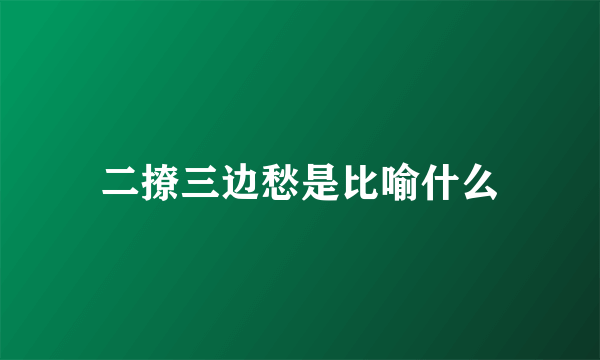二撩三边愁是比喻什么