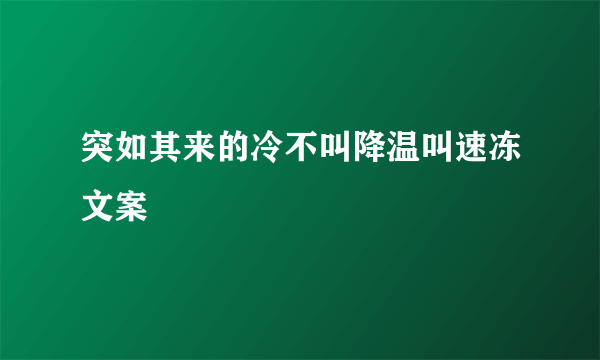 突如其来的冷不叫降温叫速冻文案