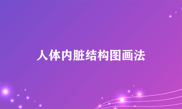 人体内脏结构图画法