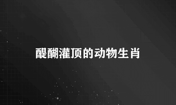 醍醐灌顶的动物生肖