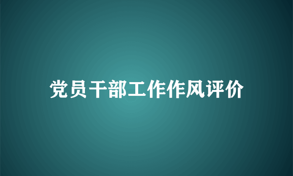 党员干部工作作风评价