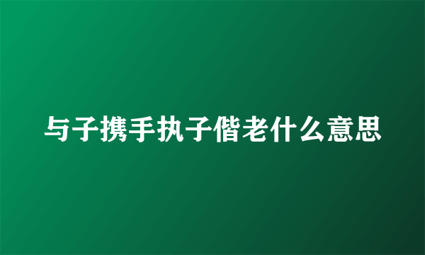 与子携手执子偕老什么意思
