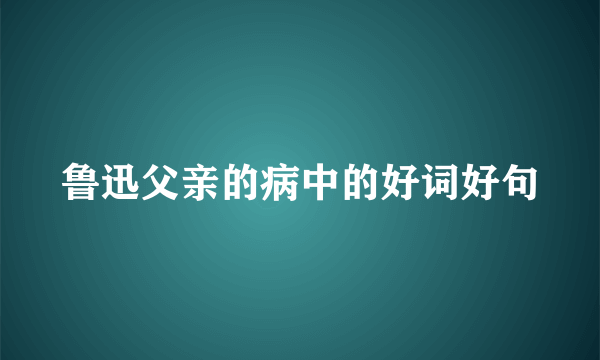 鲁迅父亲的病中的好词好句