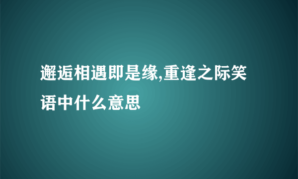 邂逅相遇即是缘,重逢之际笑语中什么意思