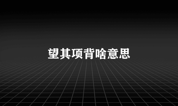 望其项背啥意思