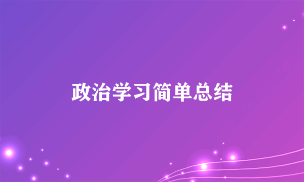 政治学习简单总结