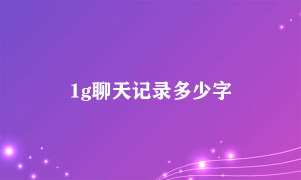 1g聊天记录多少字