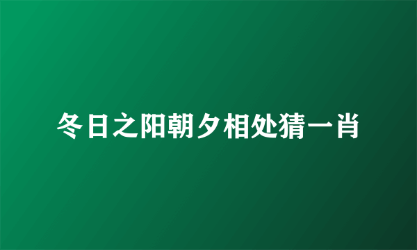 冬日之阳朝夕相处猜一肖