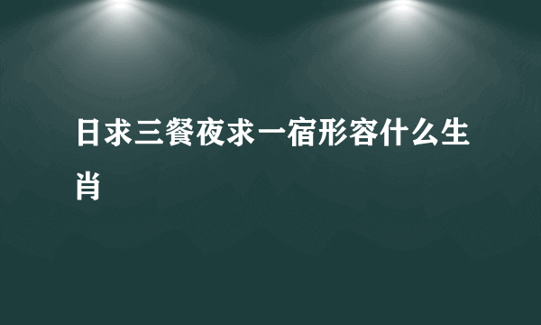 日求三餐夜求一宿形容什么生肖