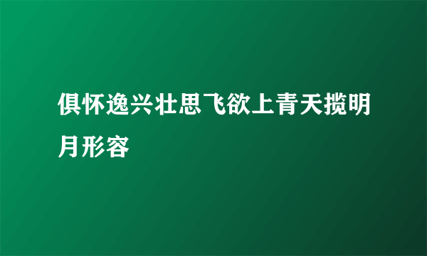 俱怀逸兴壮思飞欲上青天揽明月形容