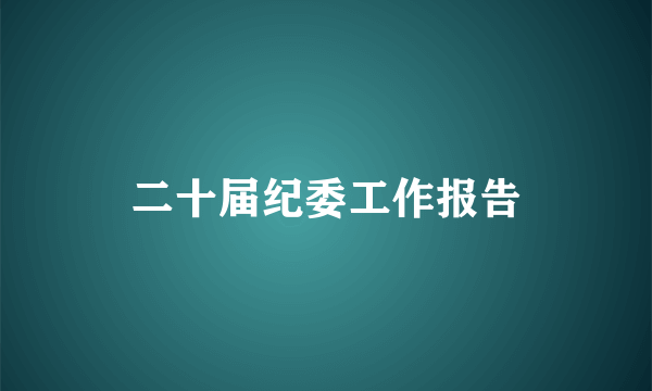 二十届纪委工作报告