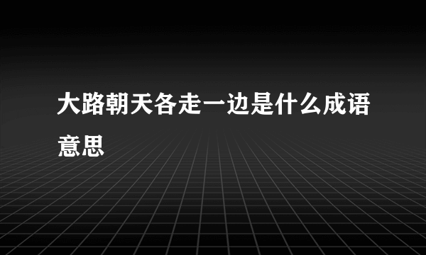 大路朝天各走一边是什么成语意思