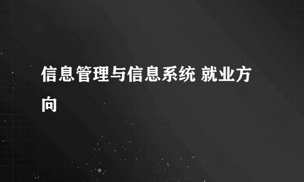 信息管理与信息系统 就业方向