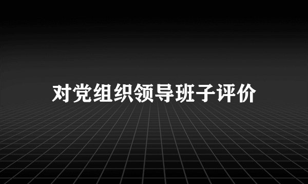对党组织领导班子评价