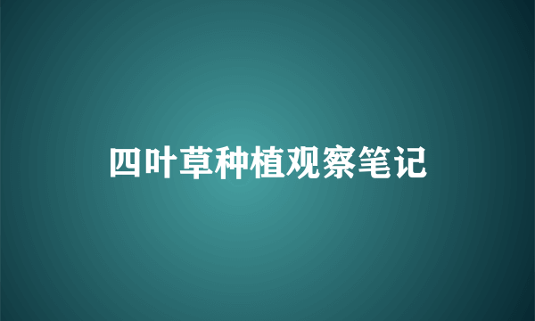 四叶草种植观察笔记