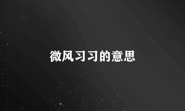 微风习习的意思