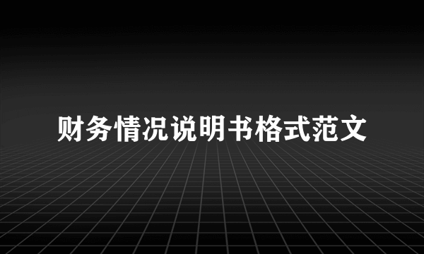 财务情况说明书格式范文