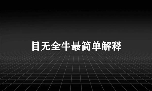 目无全牛最简单解释