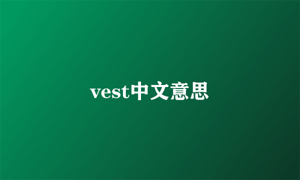 vest中文意思