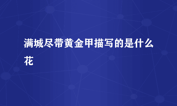 满城尽带黄金甲描写的是什么花