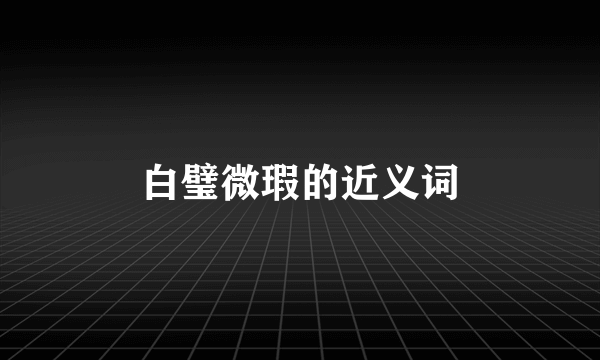 白璧微瑕的近义词