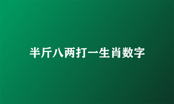 半斤八两打一生肖数字