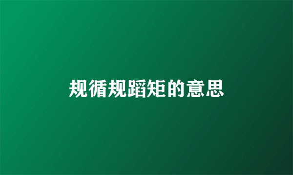 规循规蹈矩的意思