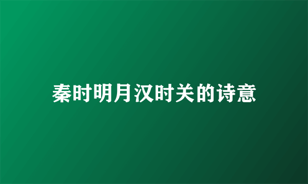 秦时明月汉时关的诗意