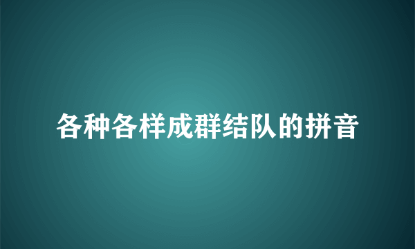 各种各样成群结队的拼音