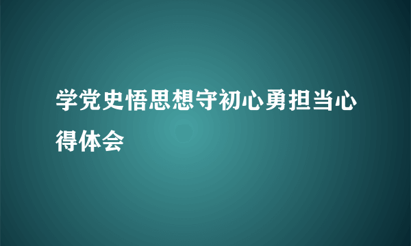 学党史悟思想守初心勇担当心得体会