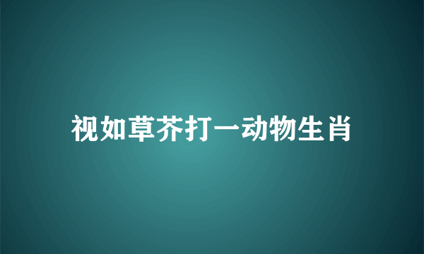视如草芥打一动物生肖