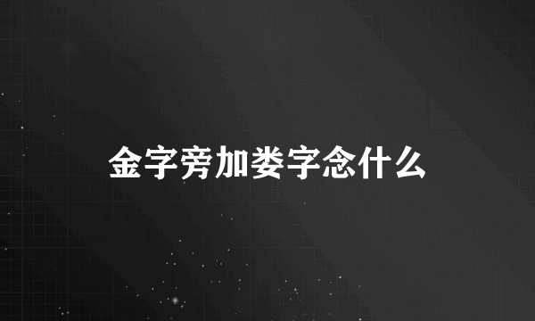 金字旁加娄字念什么