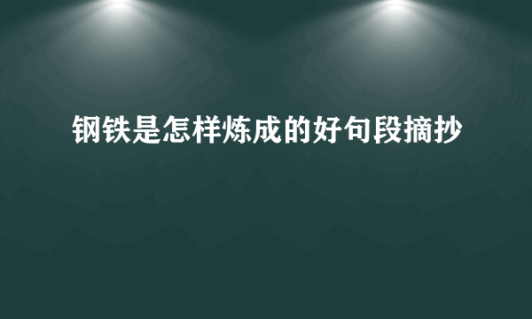 钢铁是怎样炼成的好句段摘抄