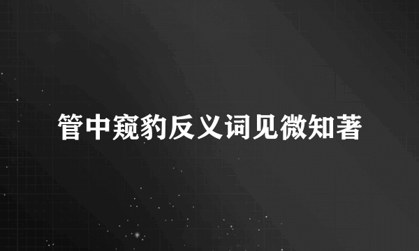 管中窥豹反义词见微知著