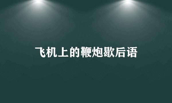 飞机上的鞭炮歇后语