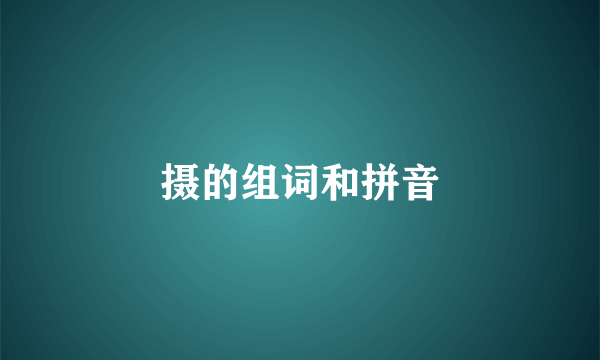 摄的组词和拼音
