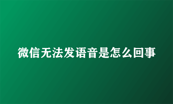微信无法发语音是怎么回事