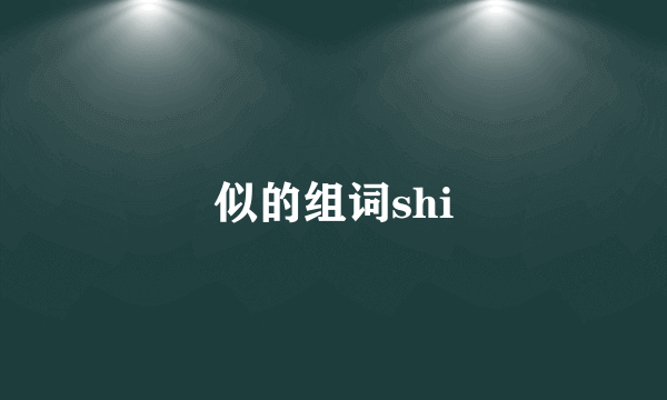 似的组词shi