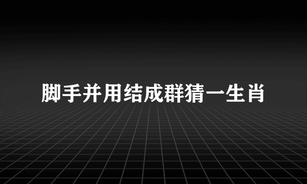 脚手并用结成群猜一生肖