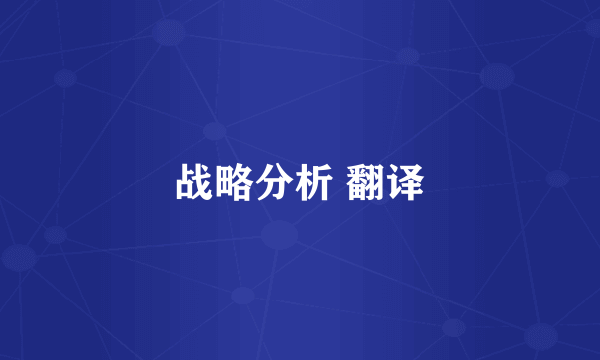 战略分析 翻译