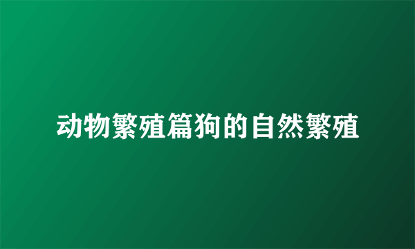 动物繁殖篇狗的自然繁殖