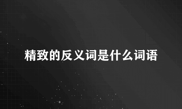 精致的反义词是什么词语