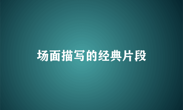 场面描写的经典片段