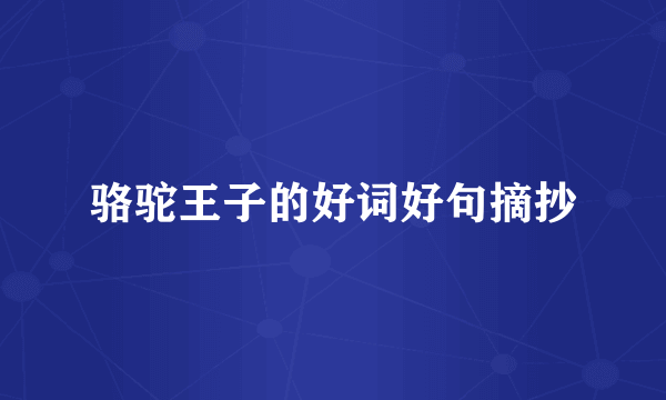 骆驼王子的好词好句摘抄