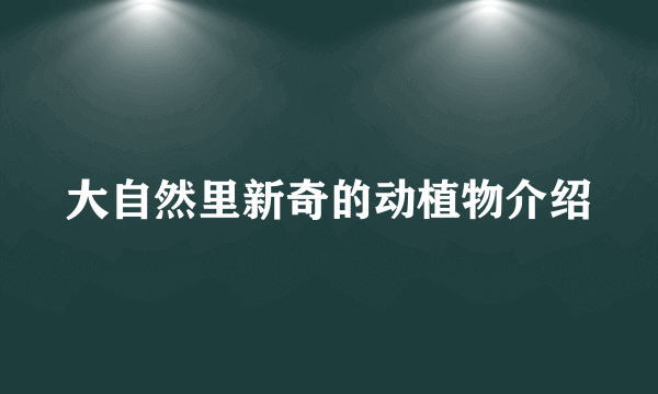 大自然里新奇的动植物介绍