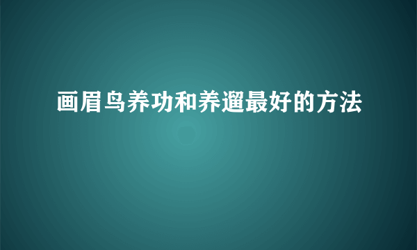 画眉鸟养功和养遛最好的方法