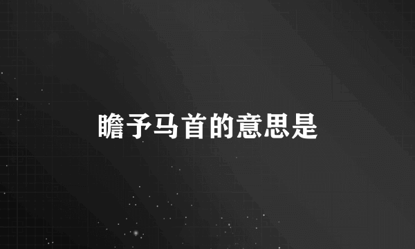 瞻予马首的意思是