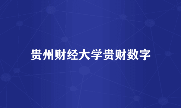 贵州财经大学贵财数字